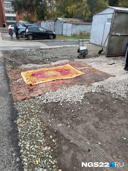 Старые ковры у гаражей выглядели как креативное решение | Источник: Полина Шевчукова / NGS22.RU