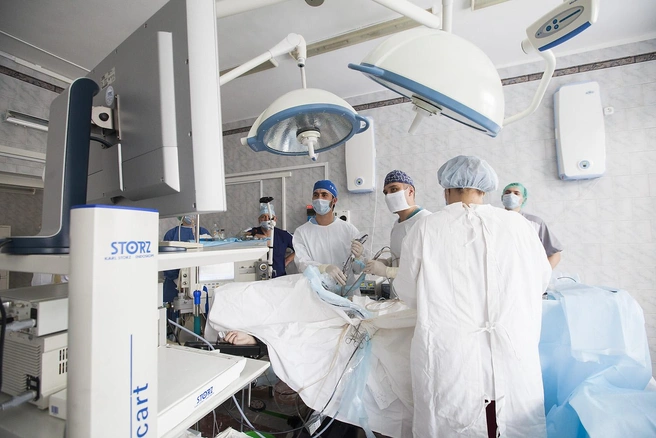 Заставочное фото | Источник: Вера Сальницкая / NGS.RU
