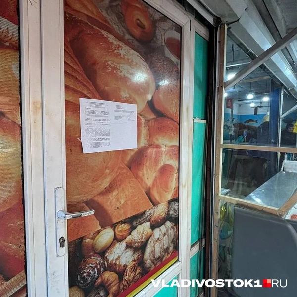 Источник: Елена Буйвол / VLADIVOSTOK1.RU