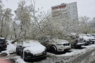 Мощный снегопад в Москве: дойдет ли до Урала?