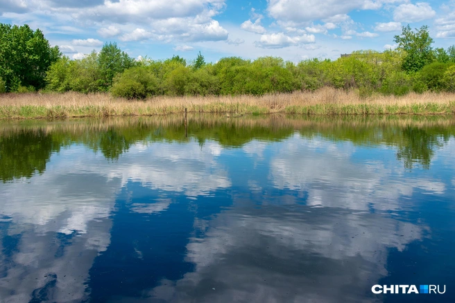 В Кетовском округе водолазы подняли из озера тела двоих братьев | Источник: Олег Федоров / CHITA.RU