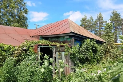 Пенсионерка из Тюльгана убила знакомую из-за крупы и макарон