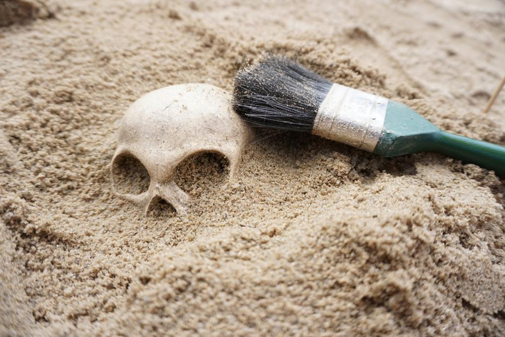 В Китае обнаружили череп ранее неизвестного вида людей — ему более 300 000 лет
