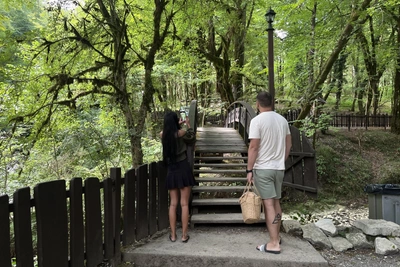 Генпрокуратура выявила нарушения в Сочинском нацпарке