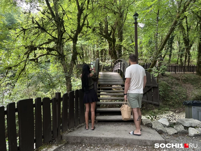 Сочинский нацпарк зарабатывает миллиарды | Источник: Анна Грицевич / SOCHI1.RU