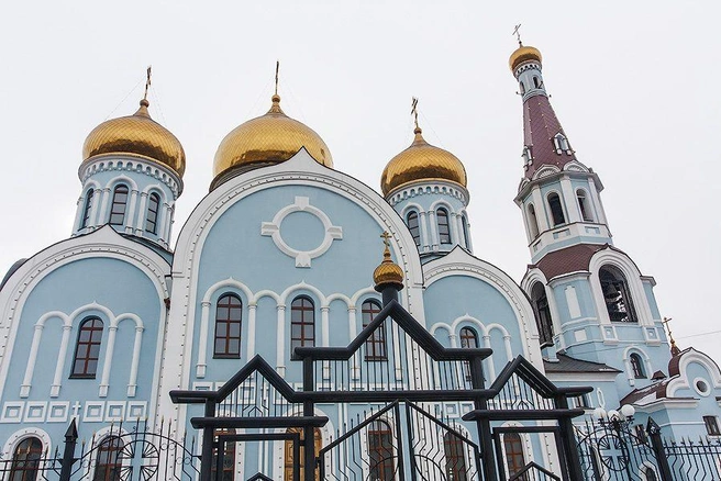 Источник: Ксения Зимина