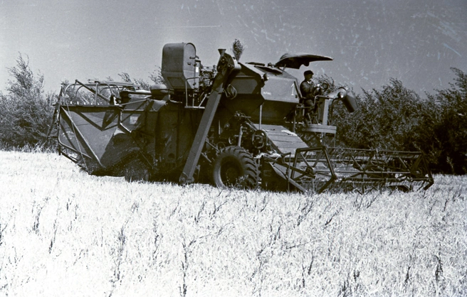 Уборка ячменя в совхозе «Комсомолец» Кинельского района. 1965 год | Источник: фотофонд Самарского областного государственного архива социально-политической истории