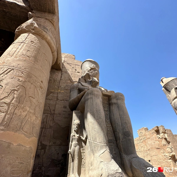 Источник: Габриелла Захарова / 26.RU