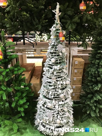 Такую и украшать не нужно | Источник: Дмитрий Мамаев / NGS24.RU 