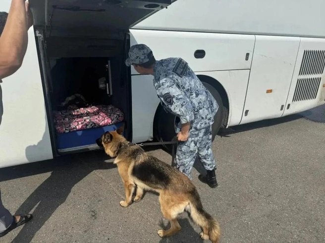 Источник: 16.xn--b1aew.xn--p1ai