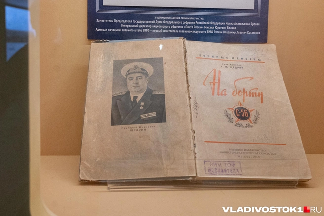 Источник: Елена Буйвол / VLADIVOSTOK1.RU
