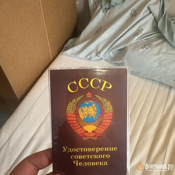 Источник: «Фонтанка.ру»