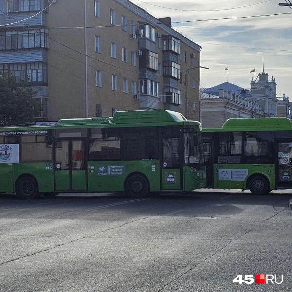 Источник: Дарья Никитченко / 45.RU