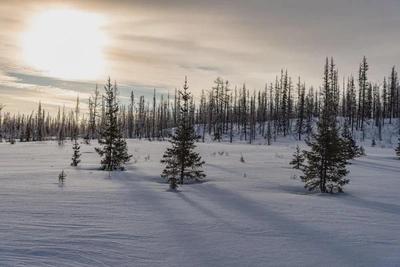 Штормовое предупреждение объявили в Ямало-Ненецком округе