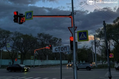 В Благовещенске ввели режим повышенной готовности из-за ветра