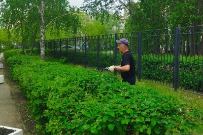 Из Железнодорожного района Пензы вывезли 86 кубометров отходов