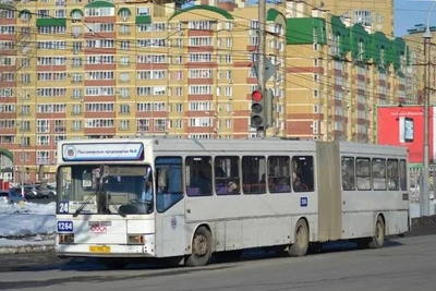 Жители Омска спорят о необходимости автобусов-«гармошек»