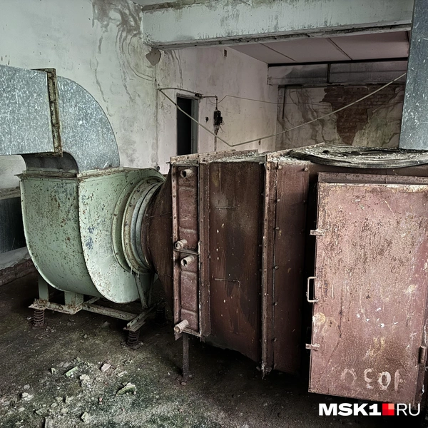 Источник: Алина Мельникова / MSK1.RU