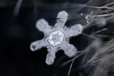 Small but Great: 161.RU Shows Snowflakes Up Close