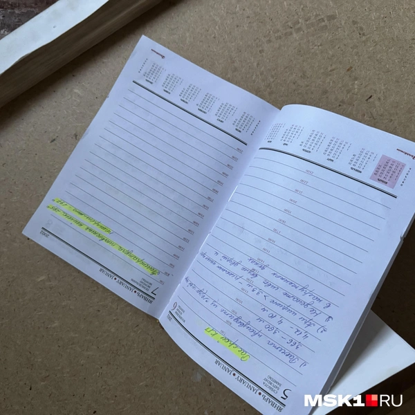 Источник: Алина Мельникова / MSK1.RU