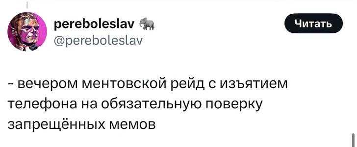 Источник: X (Twitter)