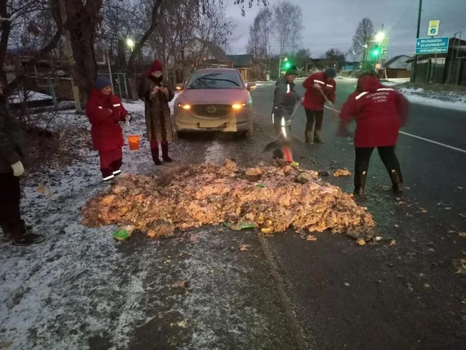 Дорогу в Асбесте засыпало дохлыми курами | Источник: МКП «Вторресурсы»