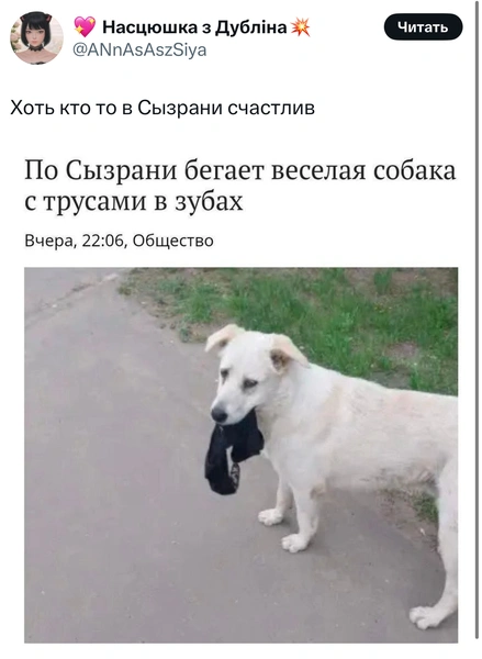 Источник: X (Twitter)