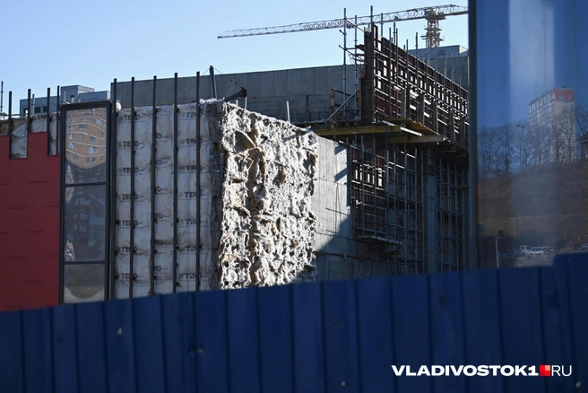 Раньше здесь хотя бы была деятельность | Источник: Елена Буйвол / VLADIVOSTOK1.RU
