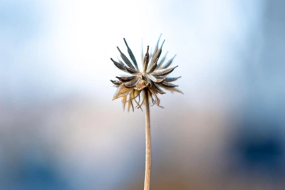 В Приморье 4 марта ожидается неустойчивая погода