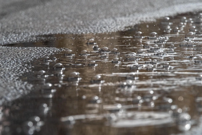 Ливень ожидается в Мурманске | Источник: Михаил Огнев / FONTANKA.RU