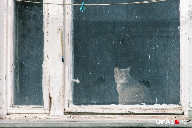 Он в ужасе | Источник: Булат Салихов / UFA1.RU