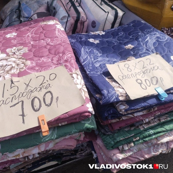 Источник: Екатерина Дымова / VLADIVOSTOK1.RU