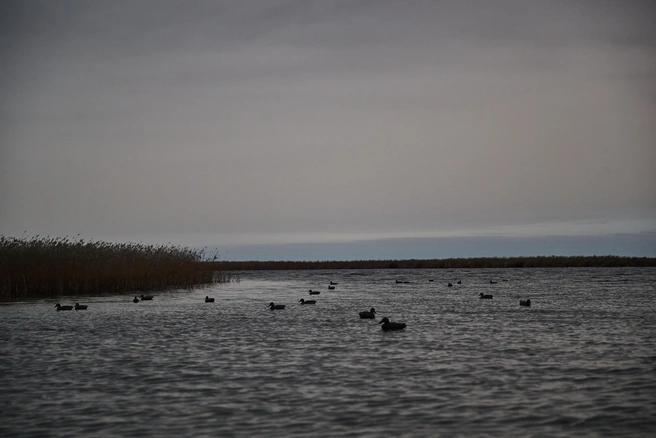 С сибирским озером связано много легенд | Источник: Александр Ощепков / NGS.RU