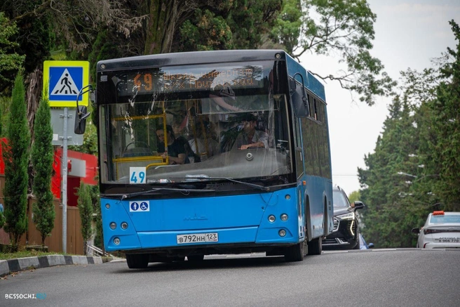 Автобусам и спецтехнике закроют проезд по аварийному мосту | Источник: transport_i_dorogi /t.me