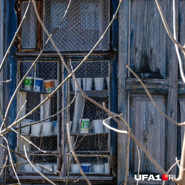 Наверняка бабуля за рассадой ухаживает | Источник: Булат Салихов / UFA1.RU