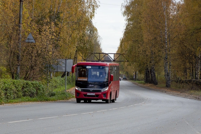 Девочке пришлось идти по «пьяной» дороге | Источник: Александра Мамонтова
