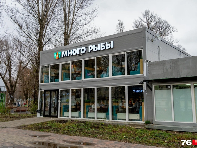 Незаконная пристройка в парке подлежит сносу по решению властей | Источник: Кирилл Поверинов / 76.RU