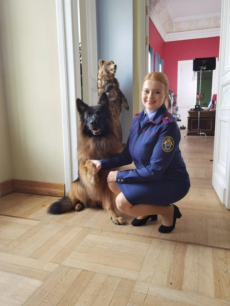 Источник: Социальные сети