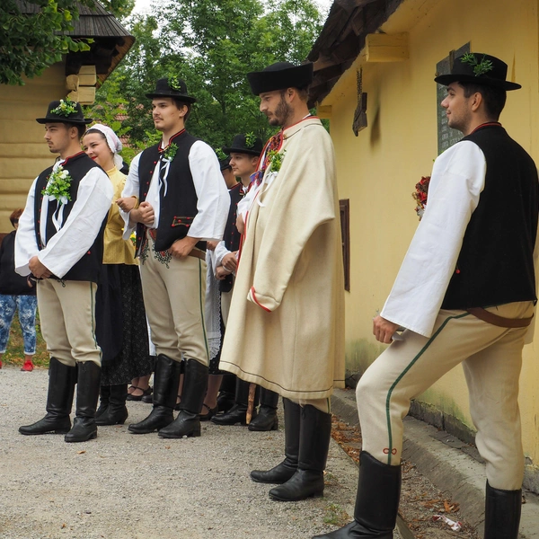 Жители деревни Влколинец в Словакии требуют исключить ее из списка ЮНЕСКО — причины и подробности