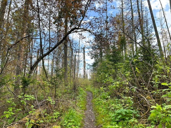 Welcome | Источник: Алексей Тайганавт