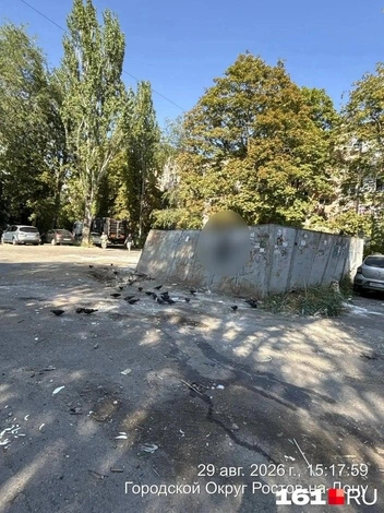 Коммунистический, 29–31 после уборки | Источник: предоставлено редакции 161.RU Экоцентром