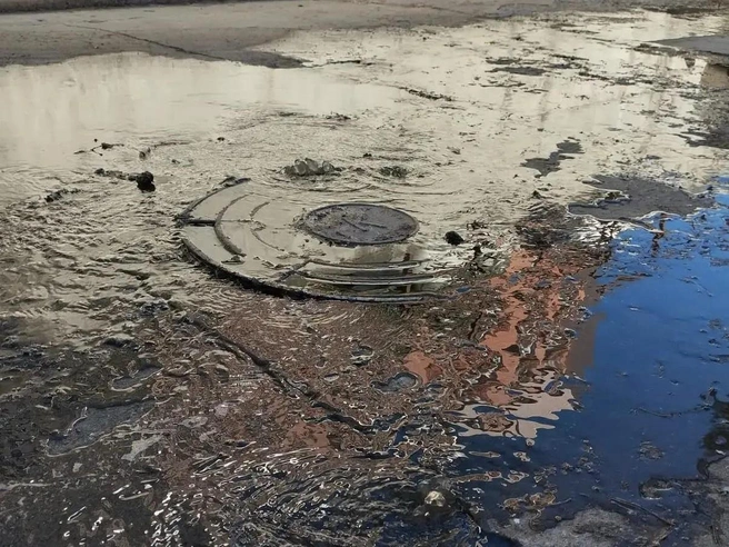 Проблема вызывает беспокойство у местных жителей | Источник: читатель НГС