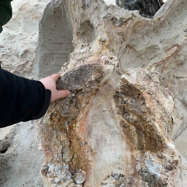 Источник: Телеграм-канал Антона Барашенкова