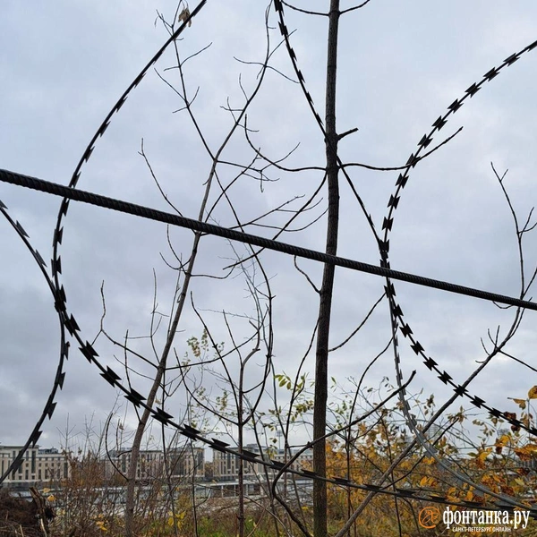 Источник: читатель «Фонтанки»