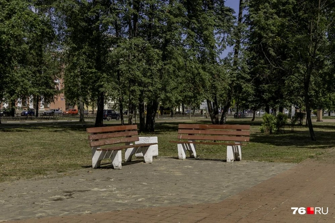В парке можно только гулять и сидеть на лавках | Источник: Кирилл Поверинов / 76.RU