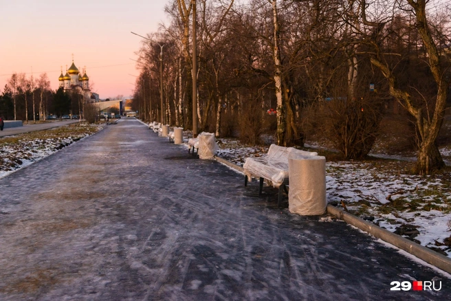 Источник: Иван Митюшёв / 29.RU