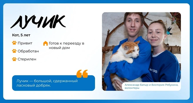 Источник: Василиса Молахова, Евгений Шаров