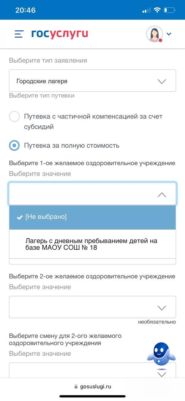 «Госуслуги» предлагают путевку всего в один лагерь | Источник: Дарья Манохина / E1.RU