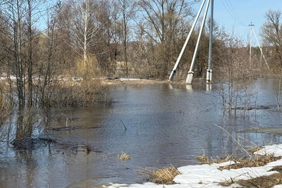 Ока поднялась до 400 см, затоплены мосты и дороги