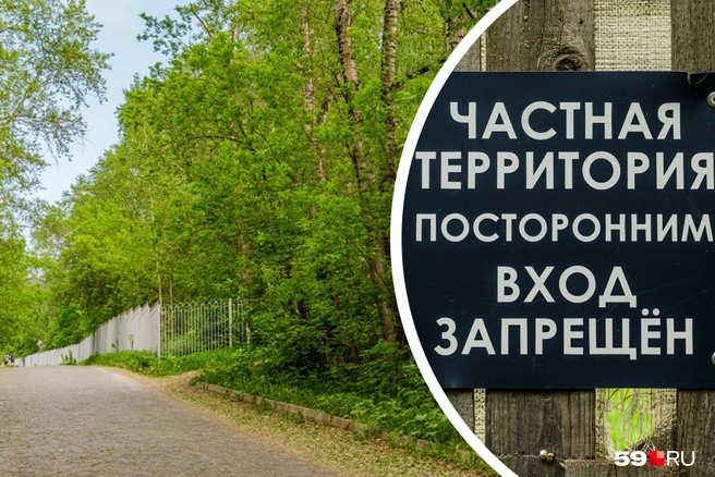 СНТ находится справа перед входом на Южное кладбище, но вы его не видите из-за деревьев | Источник: Тимофей Калмаков / 59.RU